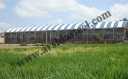 Poultry PEB Shed Providers